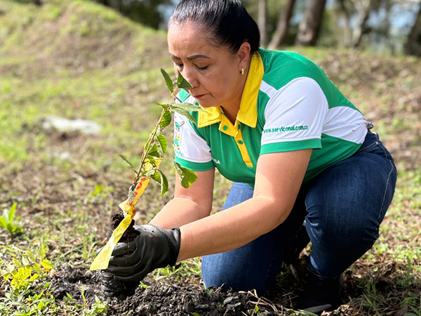 servi-ecologico-2